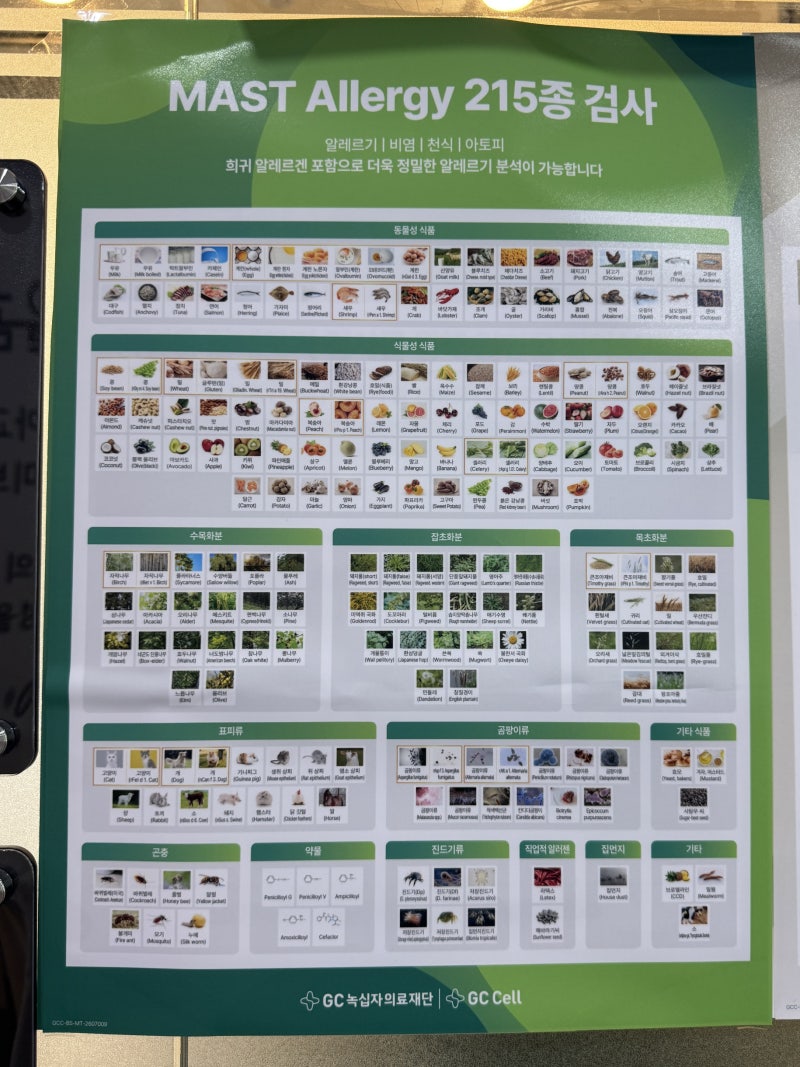지연성 알레르기 검사하기(+MAST 급성 알레르기 검사)