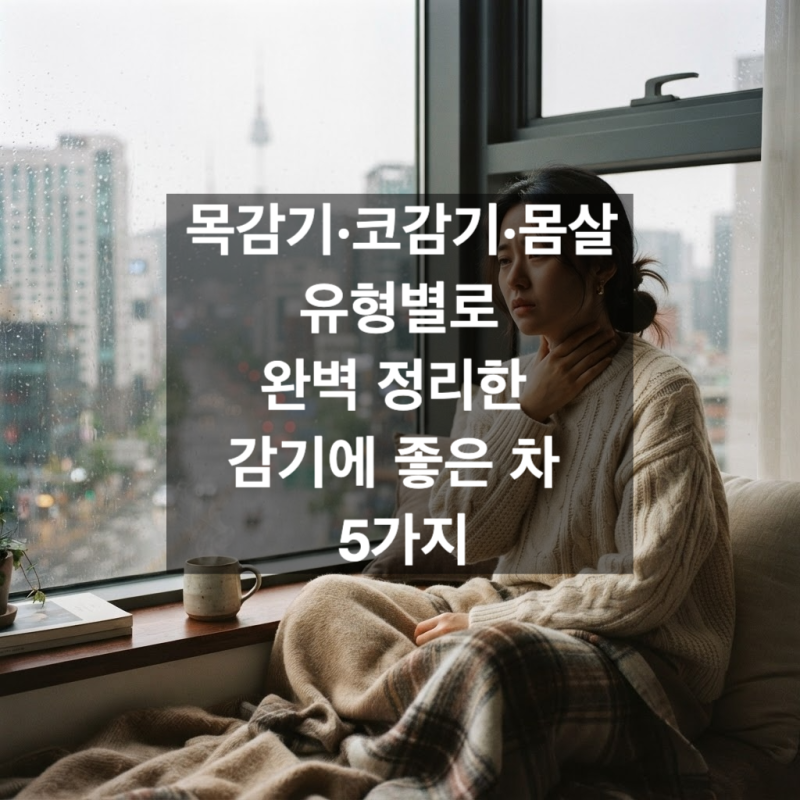 목감기·코감기·몸살 유형별로 완벽 정리한 감기에 좋은 차 5가지