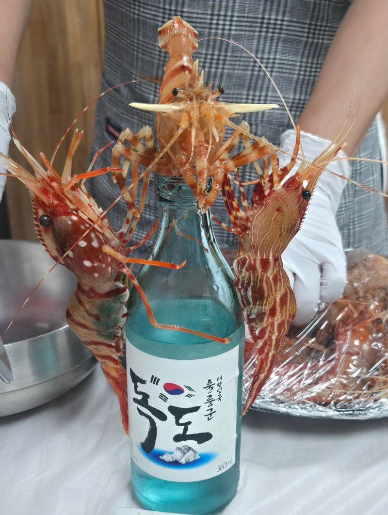 울릉도 맛집 추천: 저동항 '울릉새우본가' 독도새우 3종 솔직 후기 & 독도소주 머리튀김 필수 ....