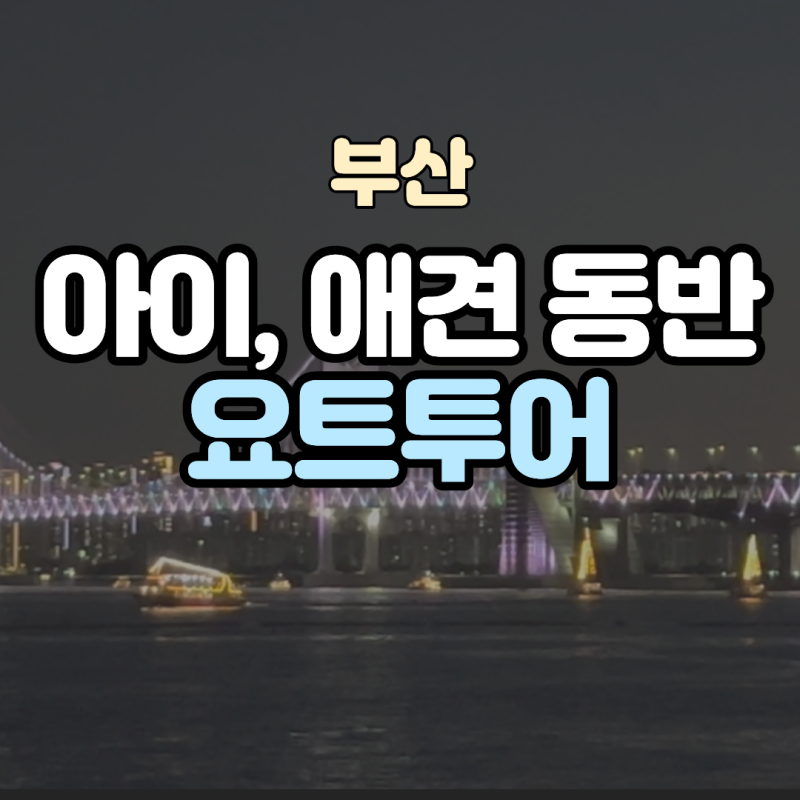 부산 요트투어 가격 총정리, 아이·반려견 같이 탈 수 있는 곳은?