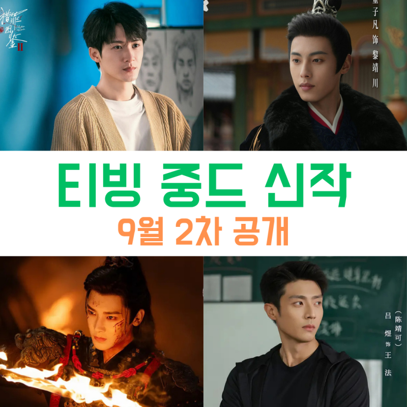 한 눈에 보는 티빙 중드 9월 신작 완벽 분석 2탄 : 일 잘하네 티빙 ~