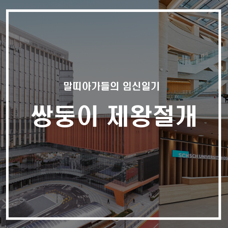 천안 순천향대 쌍둥이 제왕절개 입원후기