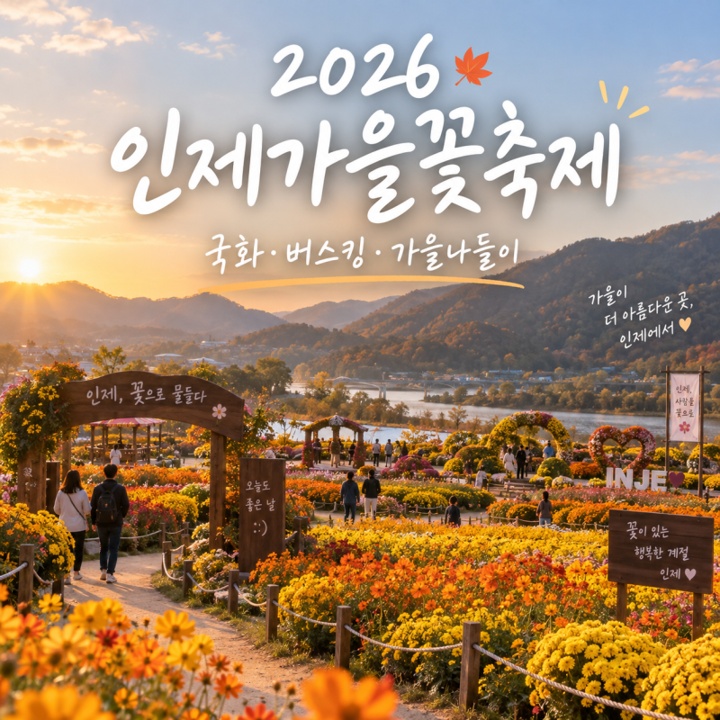 인제가을꽃축제 2026 일정 버스킹 체험 주차 강원도 가볼만한곳 추천