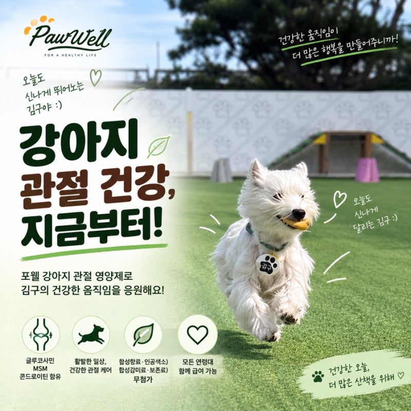 강아지 관절 영양제, 산책 좋아하는 김구의 포웰 관절 영양제 급여 후기