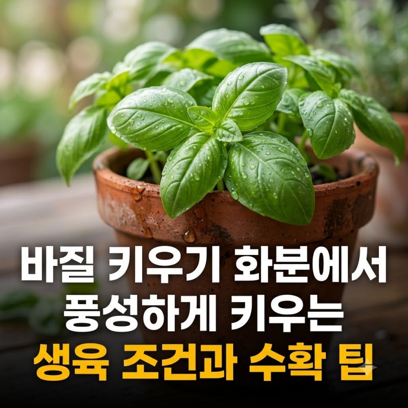 바질 키우기 화분에서 풍성하게 키우는 생육 조건과 수확 팁