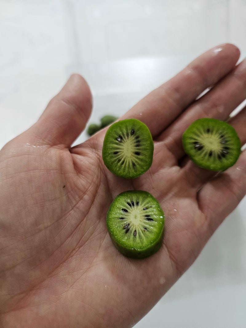 토종다래 먹는법 맛있게 익혀 먹는 법과 보관법