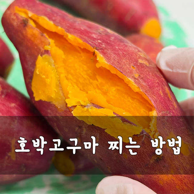 가을 제철 호박고구마 찌는 방법 고구마 삶는 시간 보관 방법 총정리