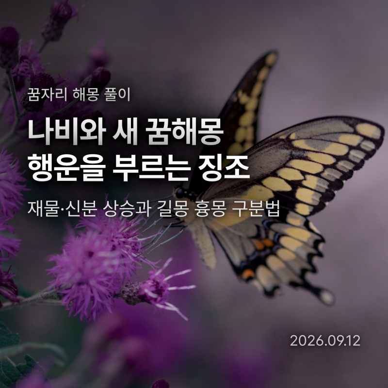 나비·새 꿈해몽 길몽일까? 학과 독수리가 품에 안길 때 생기는 일