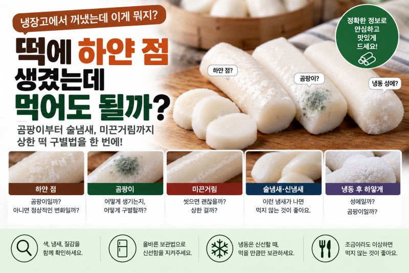 떡에 하얀 점 생겼는데 곰팡이일까? 술냄새·미끈거림과 상한 떡 구별법
