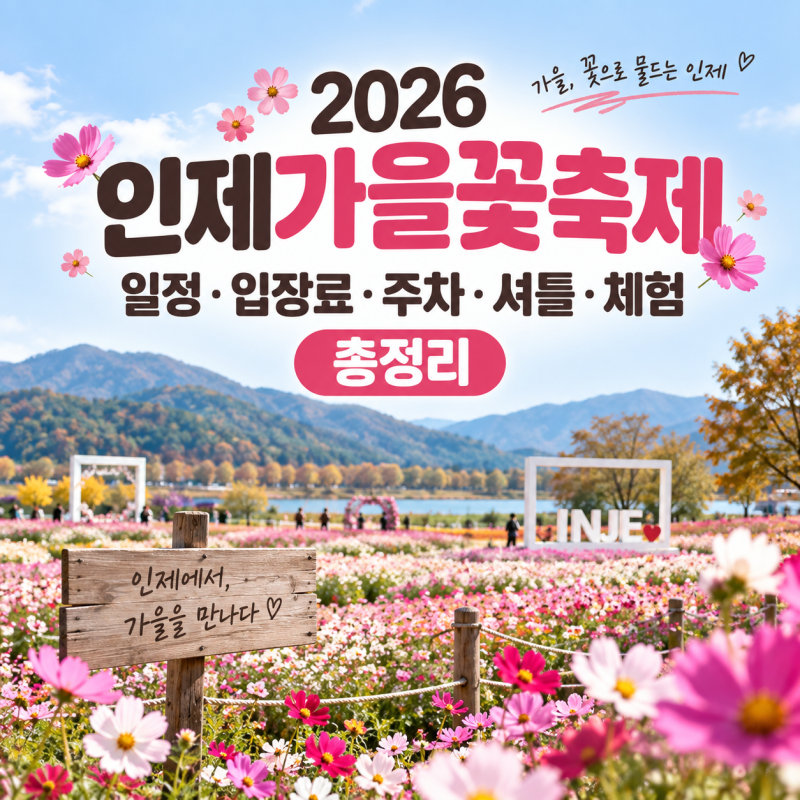 인제 가볼만한곳 인제가을꽃축제 2026 기간 장소 국화정원 트리클라이밍 총정리