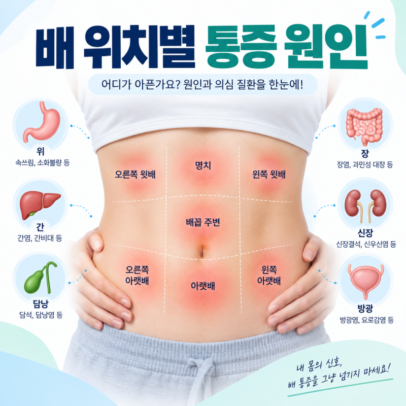 배 위치별 통증 원인 총정리｜명치·오른쪽·왼쪽·아랫배 통증으로 의심할 수 있는 질환은?(....