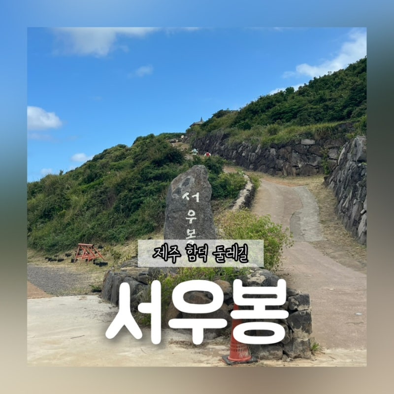 제주 함덕 서우봉 해변 주차 반려동물 소요시간