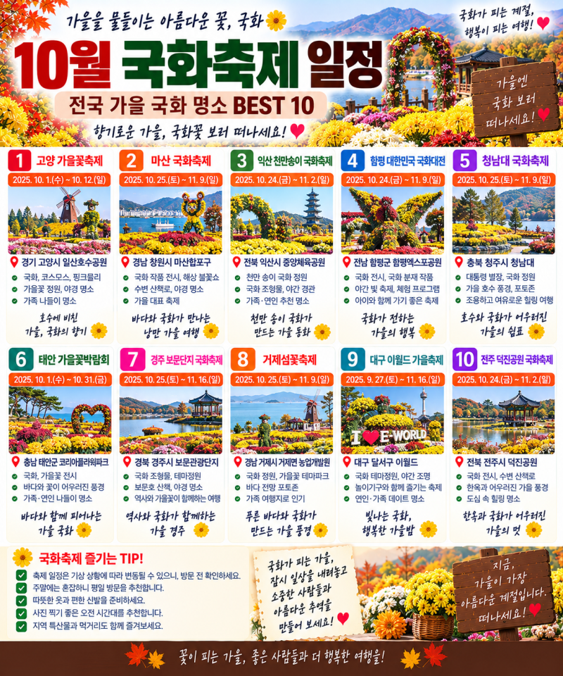 10월 국화축제 일정｜전국 가을 국화 명소 BEST 10
