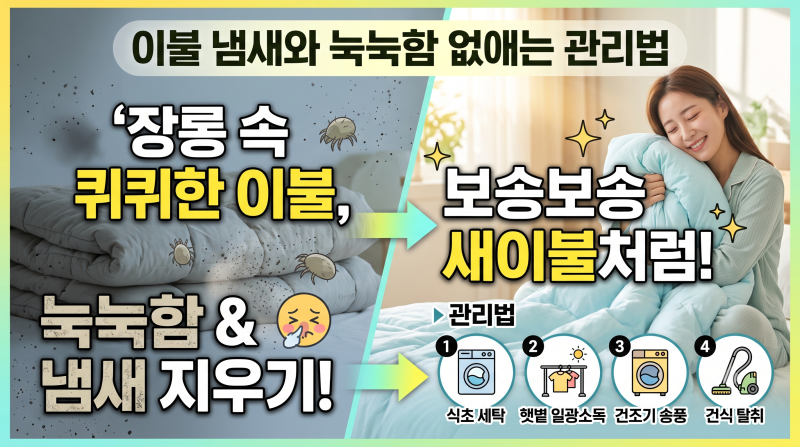 이불 냄새 제거, 눅눅함 없애는 세탁 및 관리법