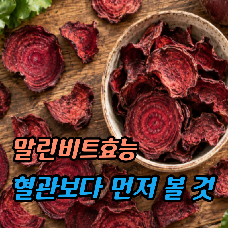 “혈관 청소부라 불린다고?” 말린비트효능, 중년이 챙겨보는 이유 3가지