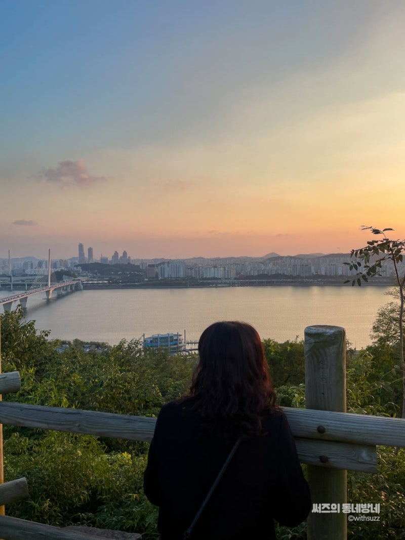 서울억새축제 2026 하늘공원 기간 야간조명 포토존 총정리