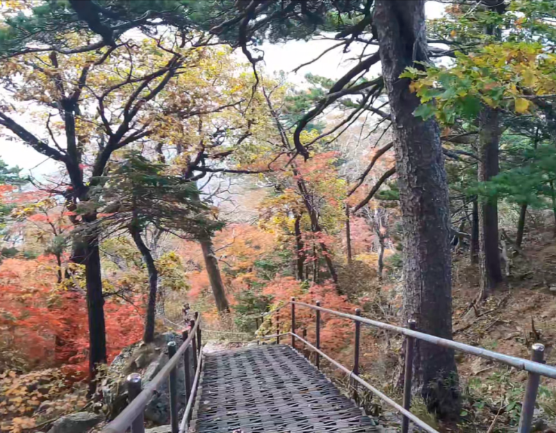 [설악산 대청봉 등산코스] 오색 최단코스｜10월 초 단풍산행! 소요시간·난이도·주차