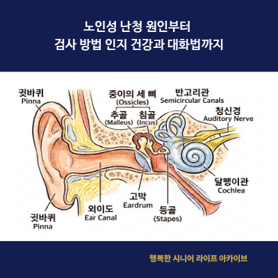 노인성 난청 원인부터 검사 방법 인지 건강과 대화법까지