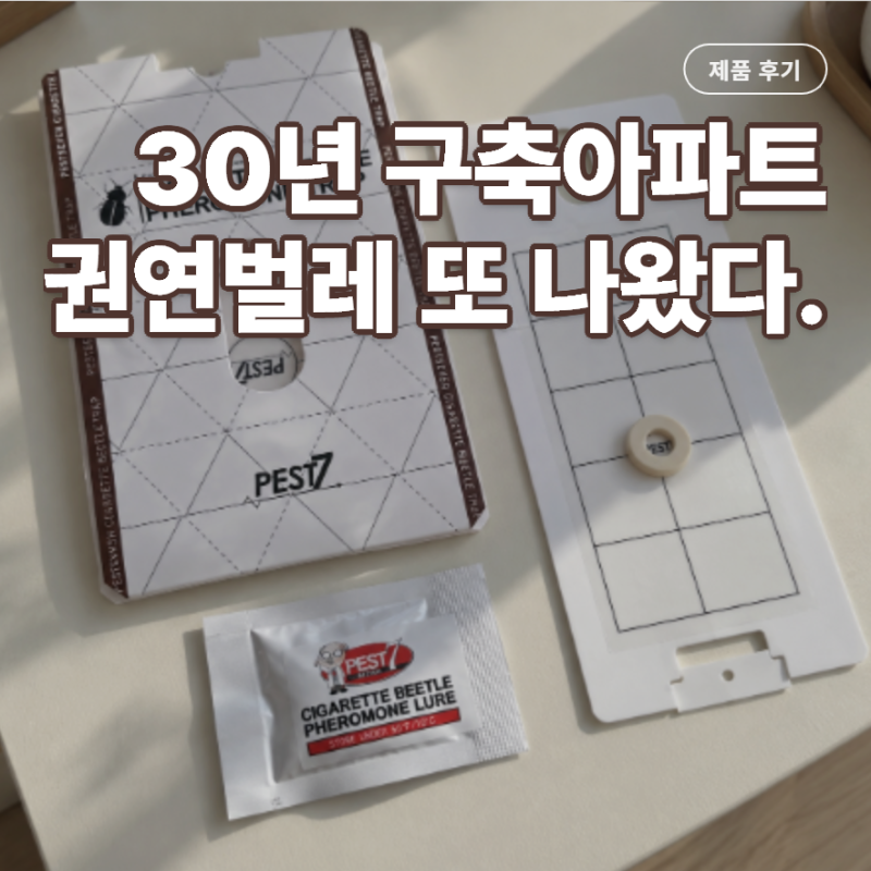 권연벌레퇴치 구축 아파트 깨벌레 스트레스, 페스트세븐 권연벌레트랩 사용 후기