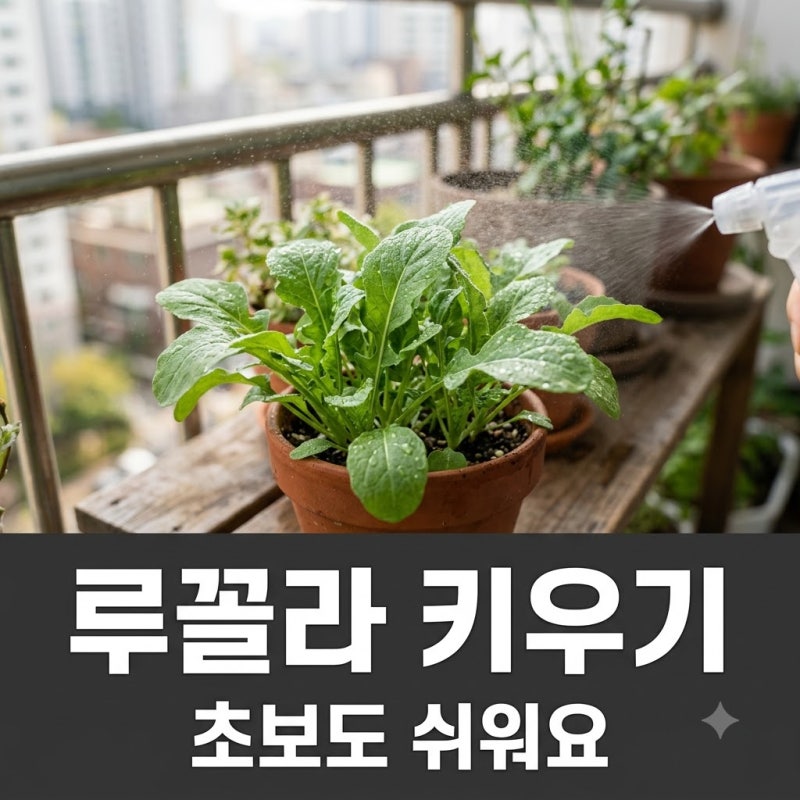 루꼴라 키우기 초보도 성공! 베란다 텃밭에서 여러 번 수확하는 완벽 가이드