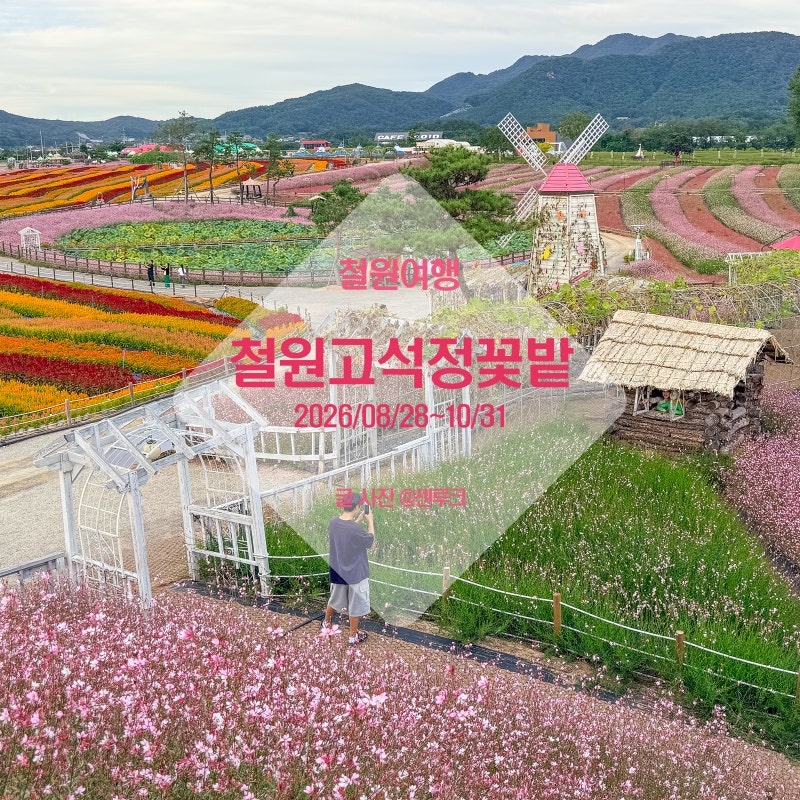 가을꽃축제 강원도 가볼만한곳 철원 고석정 꽃밭 여행