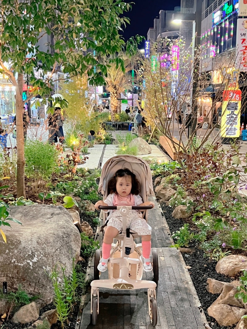 여수 가을밤 산책｜국동항 한밤의 피크닉부터 섬 품은 여수 밤정원까지