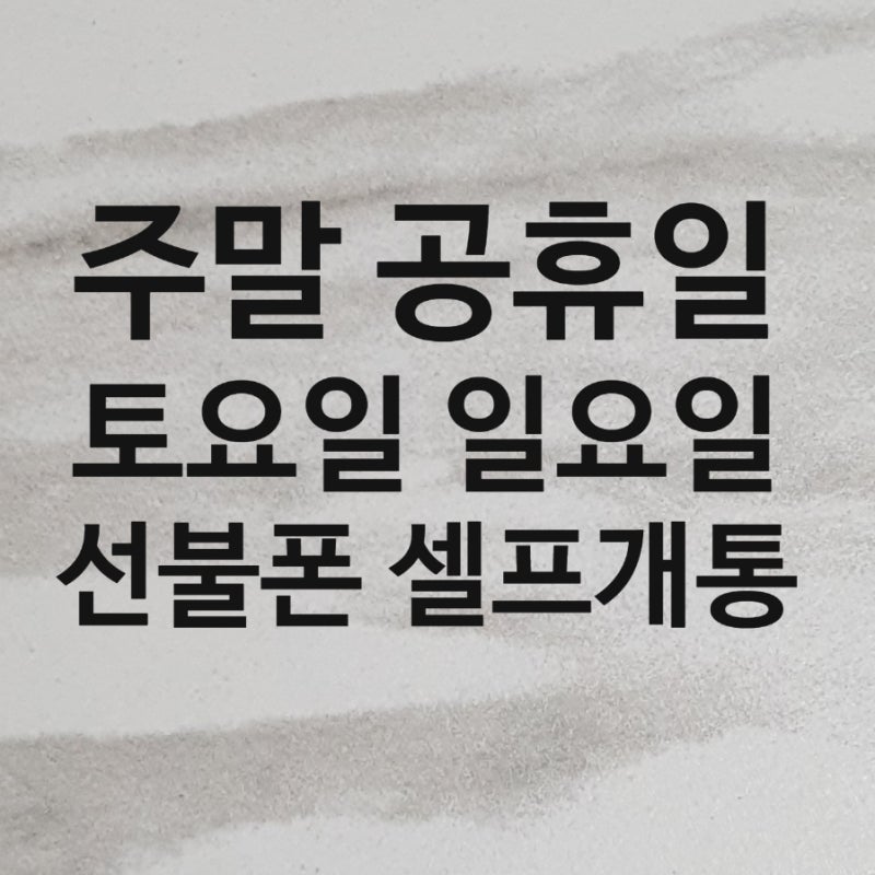 주말 공휴일 토요일 일요일에도 집에서 바로 하는 선불폰 셀프개통 방법