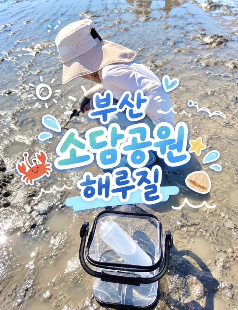 부산 강서구 신호동 소담공원 갯벌 해루질 맛조개 게 잡기 준비물 꿀팁 물때 9월10월 갯벌체....