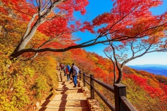 설악산단풍시기 절정예상일 | 등산코스까지 총정리