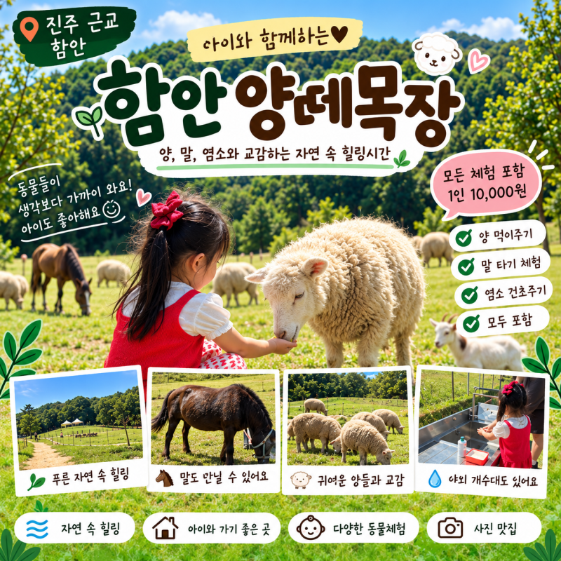 진주 근교 아이와 가볼만한곳 함안 양떼목장, 동물체험 후기