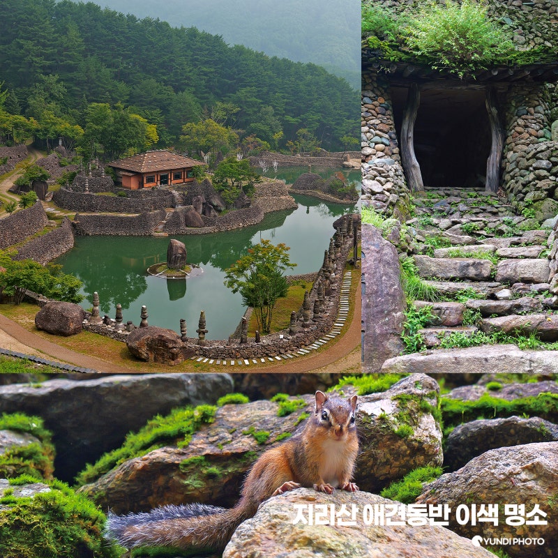 하동 청학동 삼성궁 9월 가볼만한곳, 지리산 이색 명소 돌탑길 애견동반 여행 후기