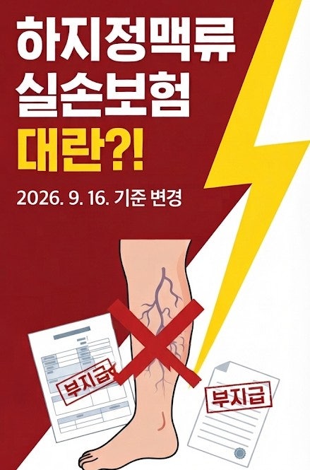 2026년 하지정맥류 실손보험, 9월 16일부터 심사 기준 확 바뀝니다!