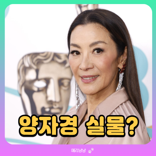 부산국제영화제 예매일정 9월 17일, 21일 오후 2시(프로그램별 가격 취소 수수료)