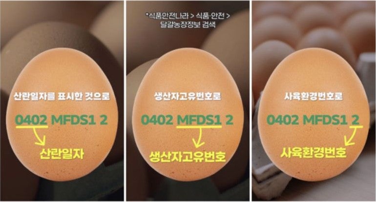 달걀 냉장 보관법·보관기간·세척 여부, 산란일자 숫자 읽기·노른자 색 차이