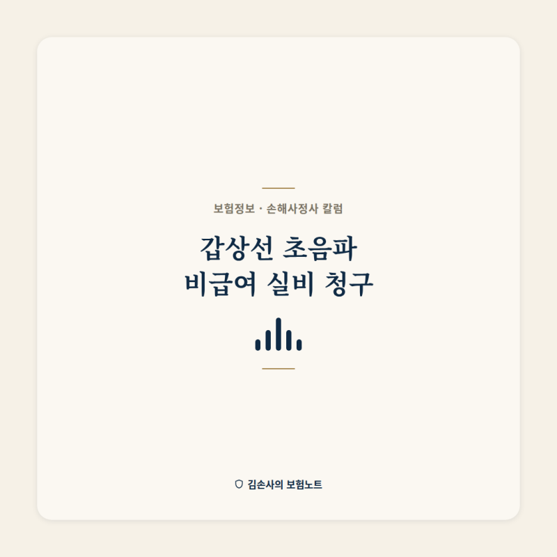 갑상선 초음파 비급여 비용 실비보험 청구 기준