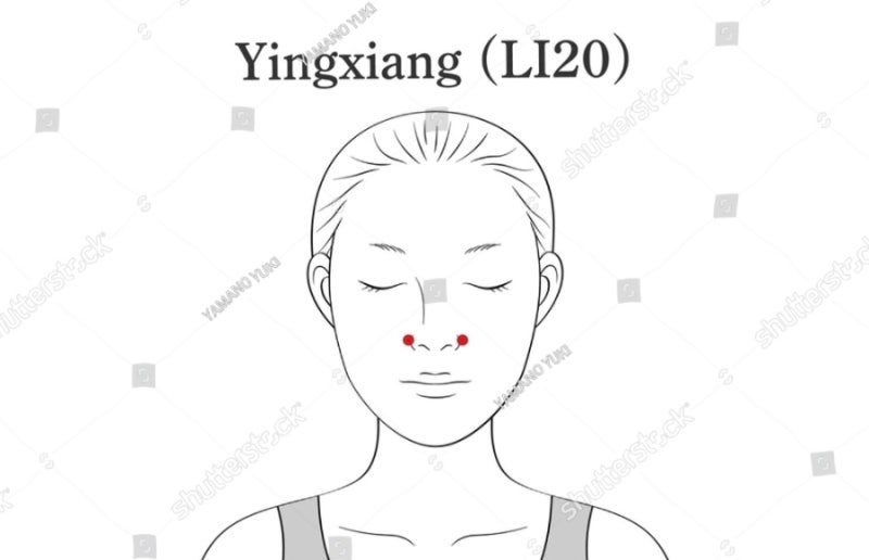 "약 없이 꽉 막힌 코 뚫는 법! 1분 지압법 & 비염에 좋은 차 5선"