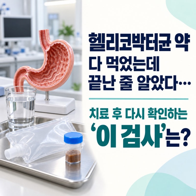 “헬리코박터균 약 다 먹었는데 끝난 줄 알았다”… 치료 후 다시 확인하는 ‘이 검사’