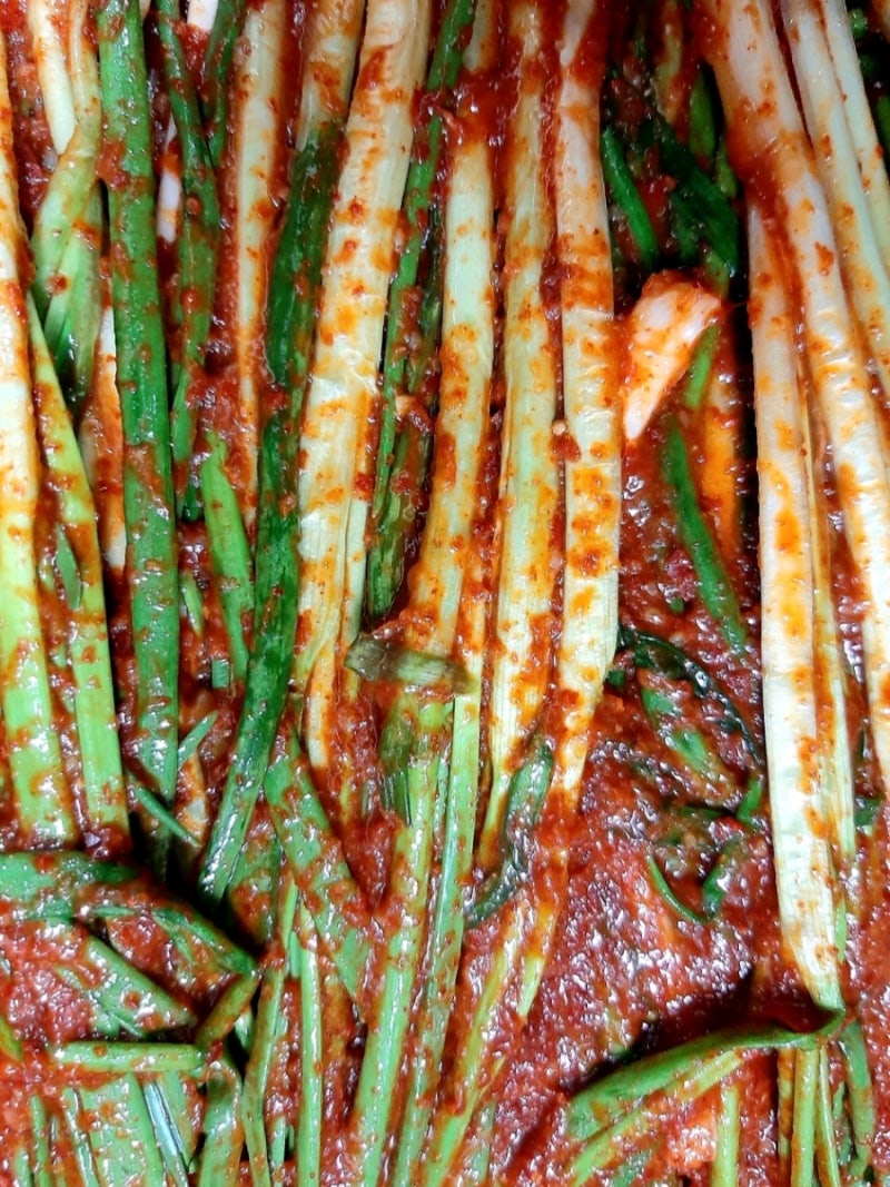 재래시장 쪽파 3단으로 만든 황금 비율 파김치 맛있게 담그는 법 (양념 비율 & 파김치 효능 정....