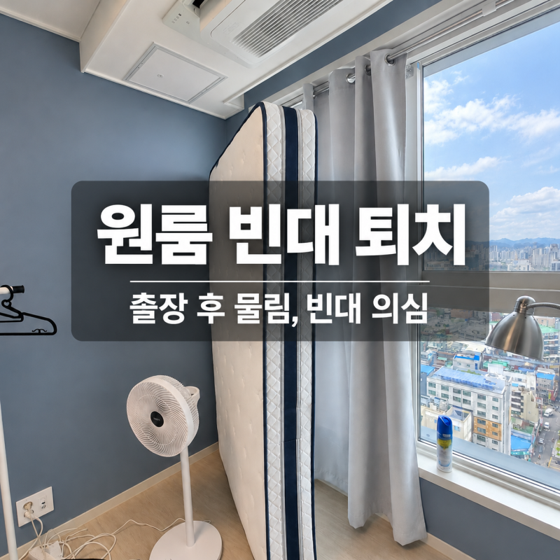 부평 원룸 빈대, 해외 출장 후 다닥다닥 물린 자국 원인과 퇴치 방법