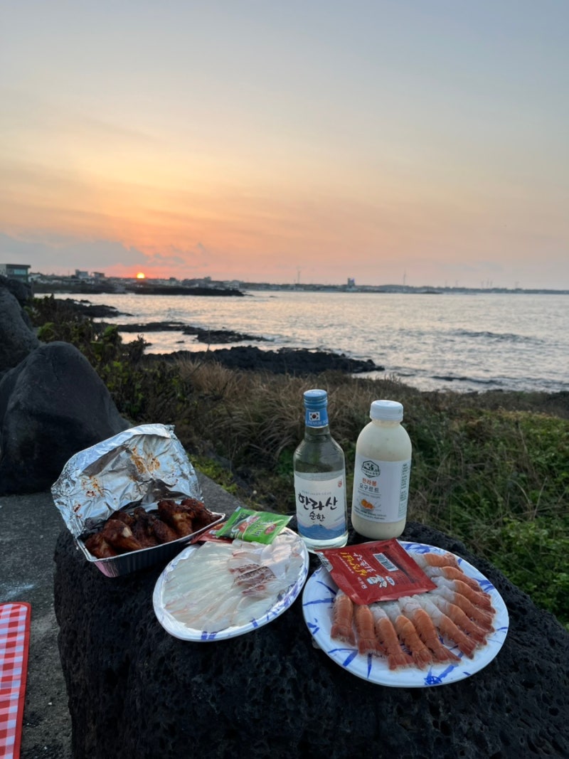 제주도 여행 2박3일 | 스노쿨링 제주도 동쪽 서쪽 추천