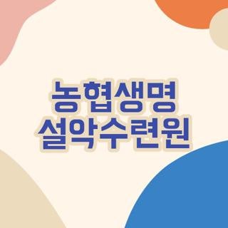 농협생명 설악수련원 예약 조식 수영장 직접 다녀오며 알아낸 꿀팁