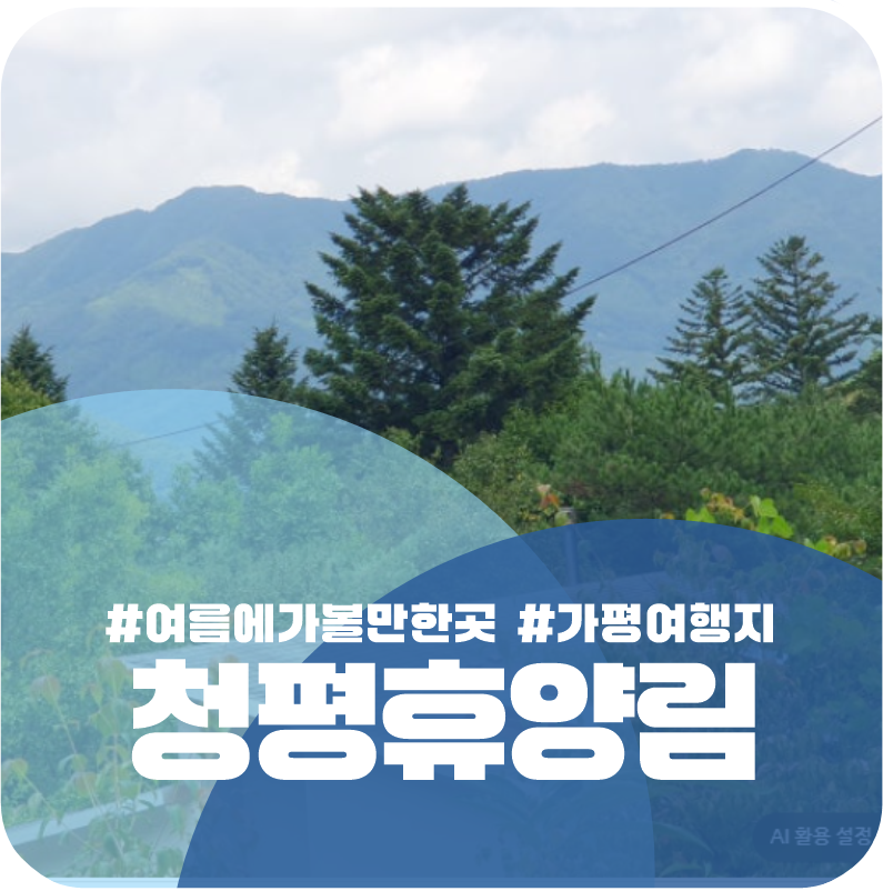 가까운 여름숲 청평자연휴양림: 청평휴양림 산책로 방문기:D