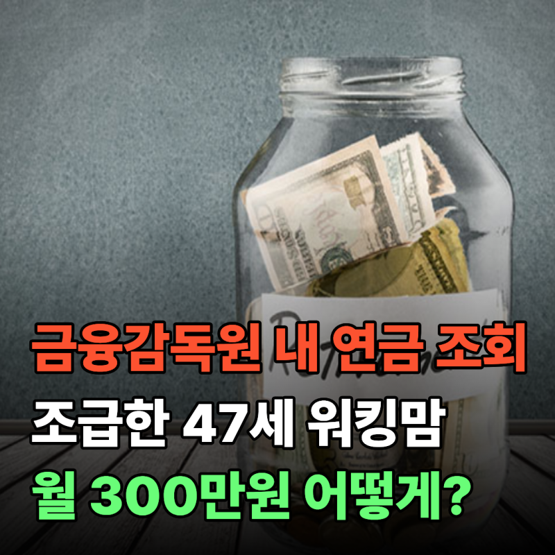 47세에 처음 금융감독원 '내 연금 조회' .. 워킹맘 60세까지 무엇을 더 준비해야 300만원 나올까....