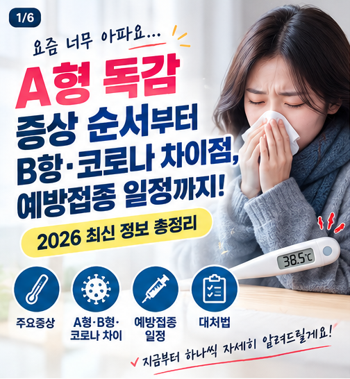 A형 독감 증상 순서부터 B형·코로나 차이점, 예방접종 일정 총정리