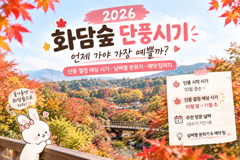 2026 화담숲 단풍시기 총정리｜10월 말? 11월 초? 언제 가야 할까