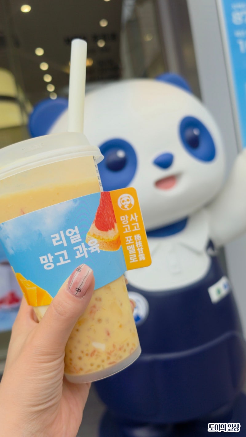 차백도 메뉴 추천 망고포멜로사고 우롱소이빈밀크티 후기 가격 칼로리