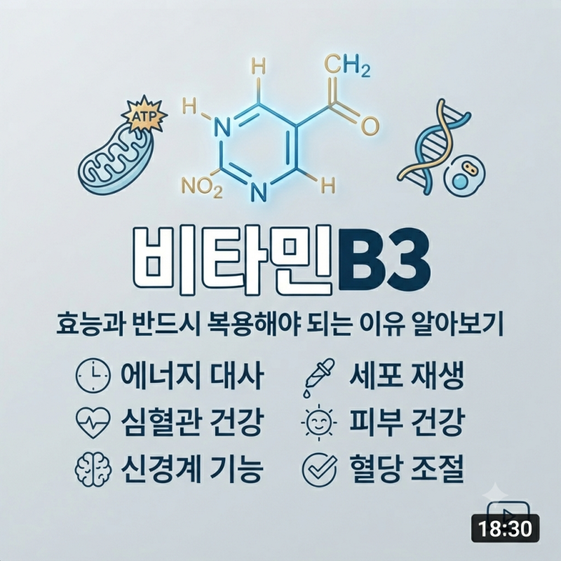 비타민B 군 중 비타민B3의 효능과 반드시 복용해야되는 이유 알아보기