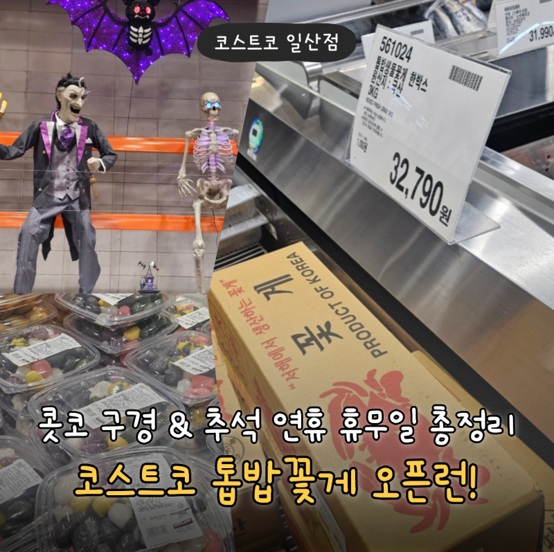 코스트코 일산점 톱밥꽃게 오픈런 후기 | 전복·송편·할로윈 구경 | 2026년 추석 휴무일 및 조....
