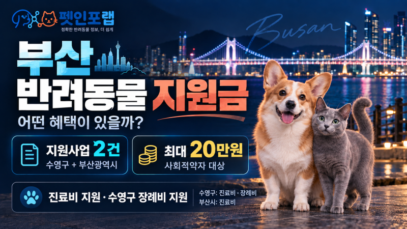 부산 반려동물 지원금 2026 총정리