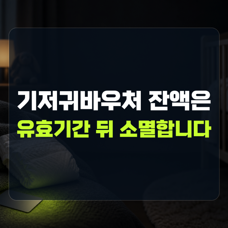 "유효기간이 지나면 소멸합니다" 설명 | 기저귀바우처 잔액 확인방법